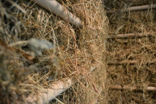 Hotel Rovanada Wellness & BergNatur image 12